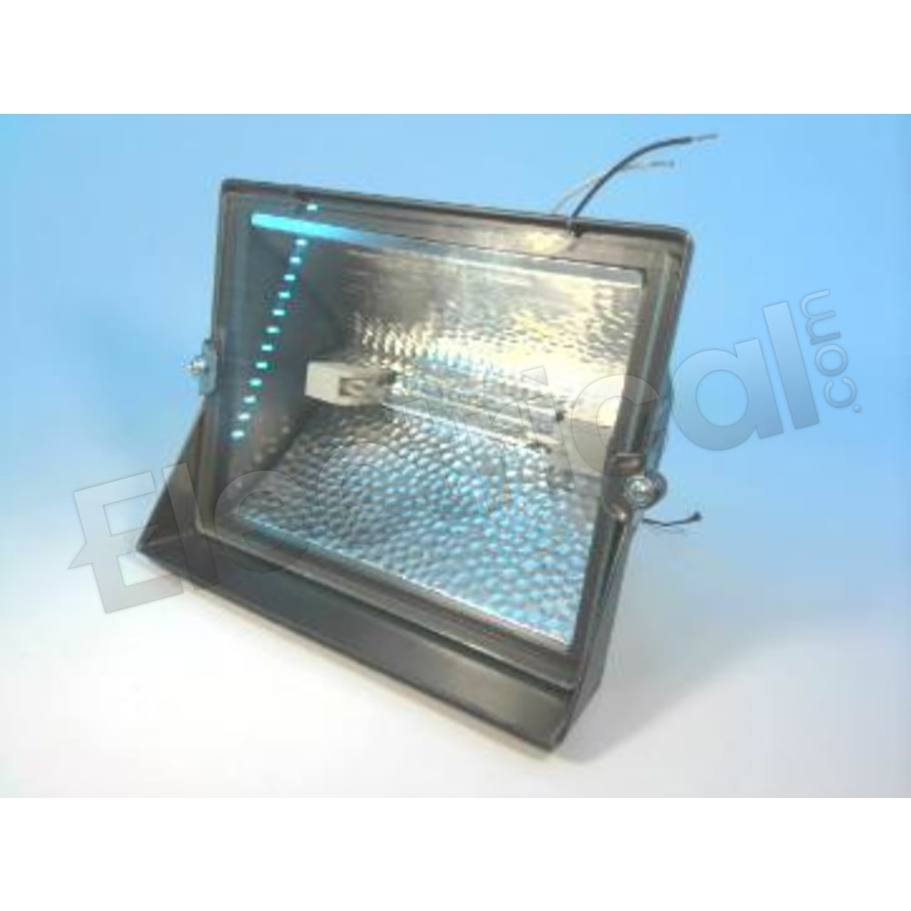 CGP500WL Regent Lighting Flood Light Lighting